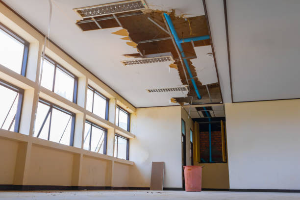 Carpet water damage restoration in MO