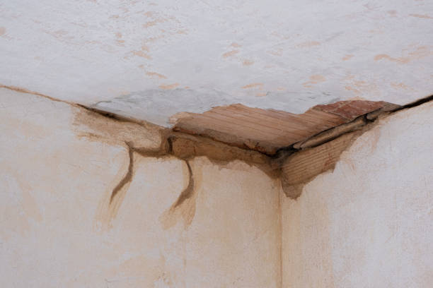 Best Flood damage cleanup  in Cottleville, MO