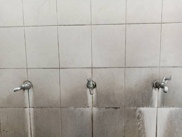 Best Water damage restoration near me  in Cottleville, MO