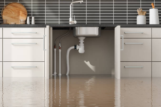 Best Flood restoration services  in Cottleville, MO