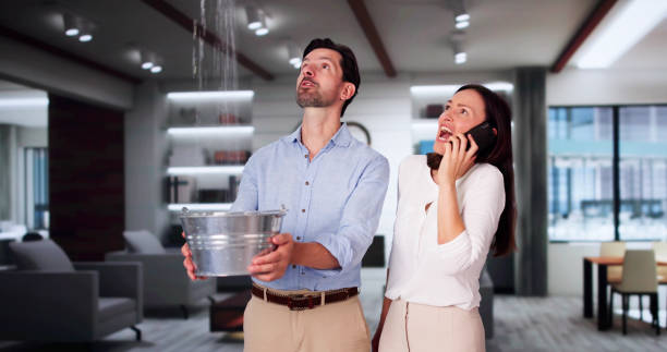 Best Water damage contractors near me  in Cottleville, MO