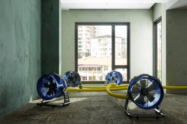 Best Emergency water damage restoration  in Cottleville, MO