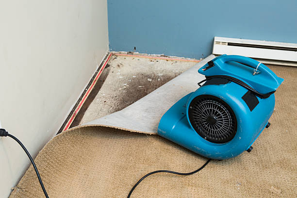 Best 24-hour water damage restoration  in Cottleville, MO