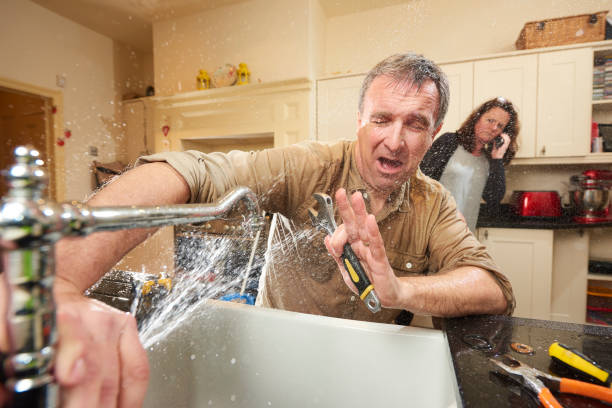 Best Professional water damage repair  in Cottleville, MO